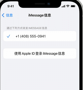 惠济apple维修iPhone上无法正常发送iMessage信息 