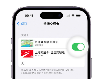 惠济apple维修点分享iPhone上更换Apple Pay快捷交通卡手绘卡面 