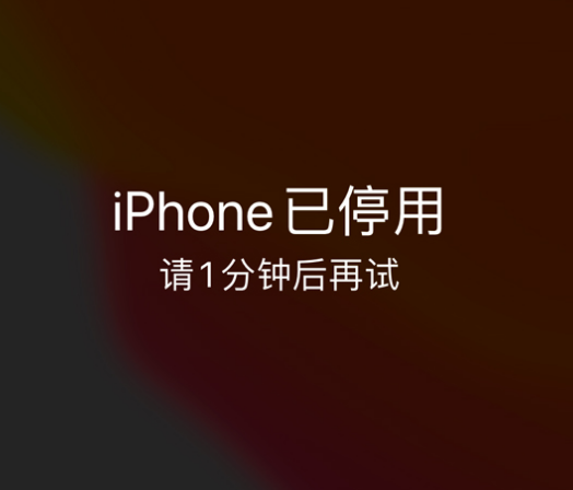 惠济苹果手机维修分享:iPhone 显示“不可用”或“已停用”怎么办？还能保留数据吗？ 