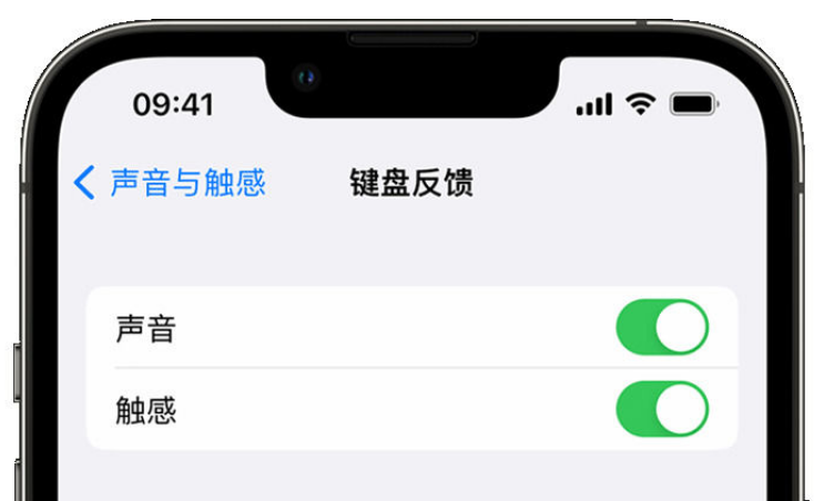 惠济苹果手机维修分享iPhone 14触感键盘使用方法 