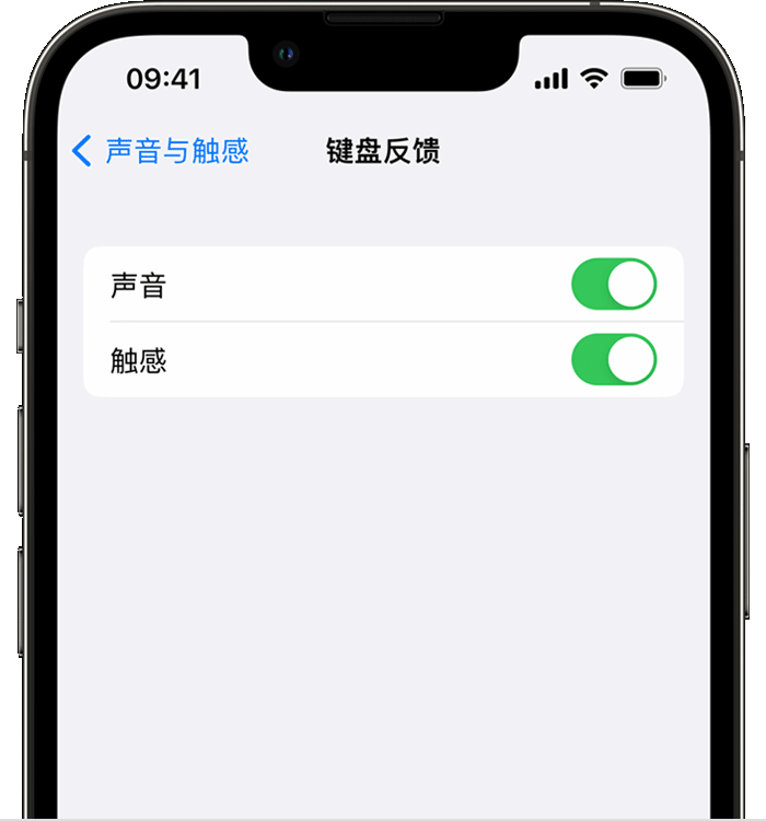 惠济苹果14维修店分享如何在 iPhone 14 机型中使用触感键盘 