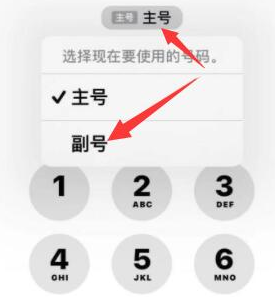 惠济苹果14维修店分享iPhone 14 Pro Max使用副卡打电话的方法 