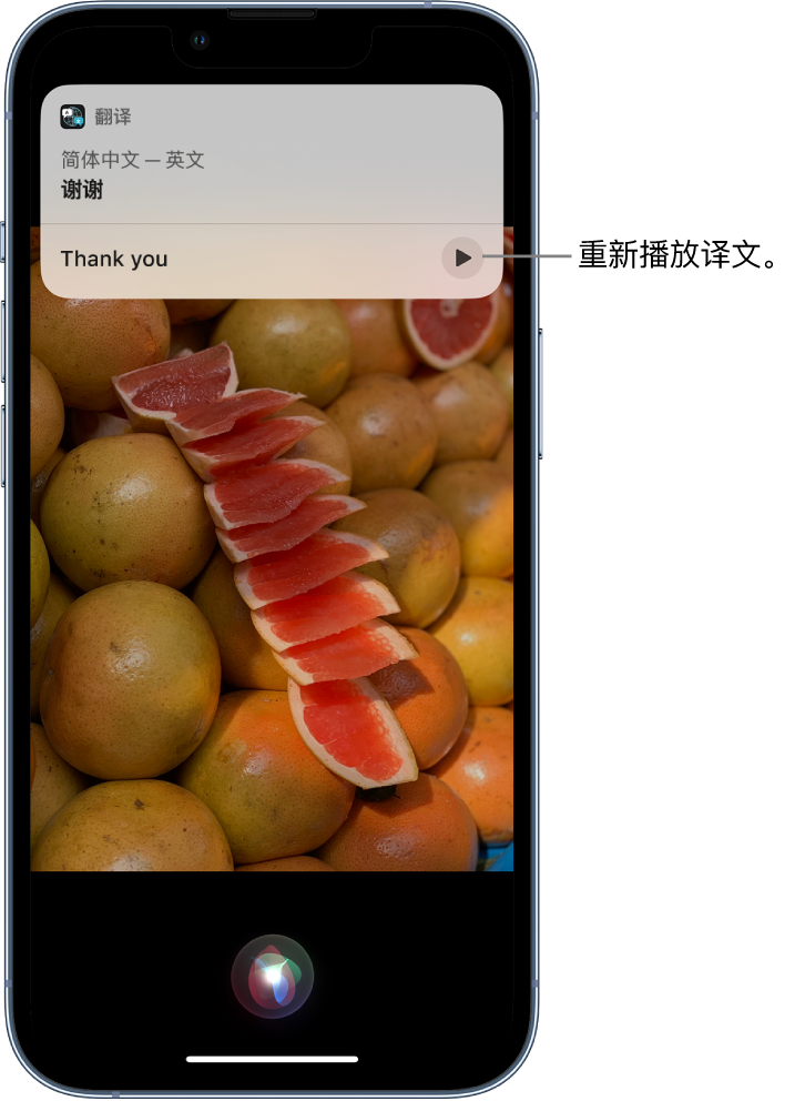 惠济苹果14维修分享 iPhone 14 机型中使用 Siri：了解 Siri 能帮你做什么 