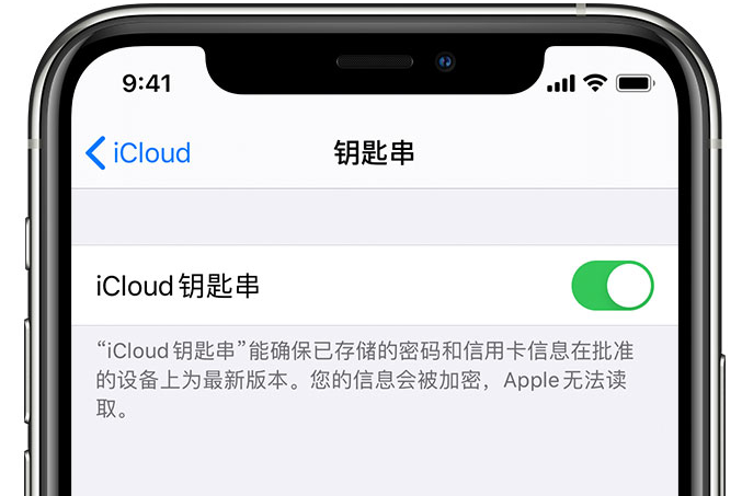 惠济苹果手机维修分享在 iPhone 上开启 iCloud 钥匙串之后会储存哪些信息 