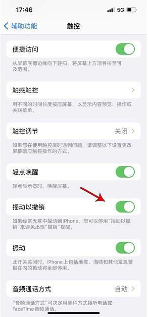 惠济苹果手机维修分享iPhone手机如何设置摇一摇删除文字 